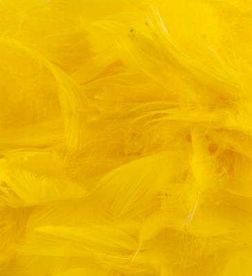 Eleganza Feathers Mixed sizes 3inch-5inch 50g bag Yellow No.11 - Accessories